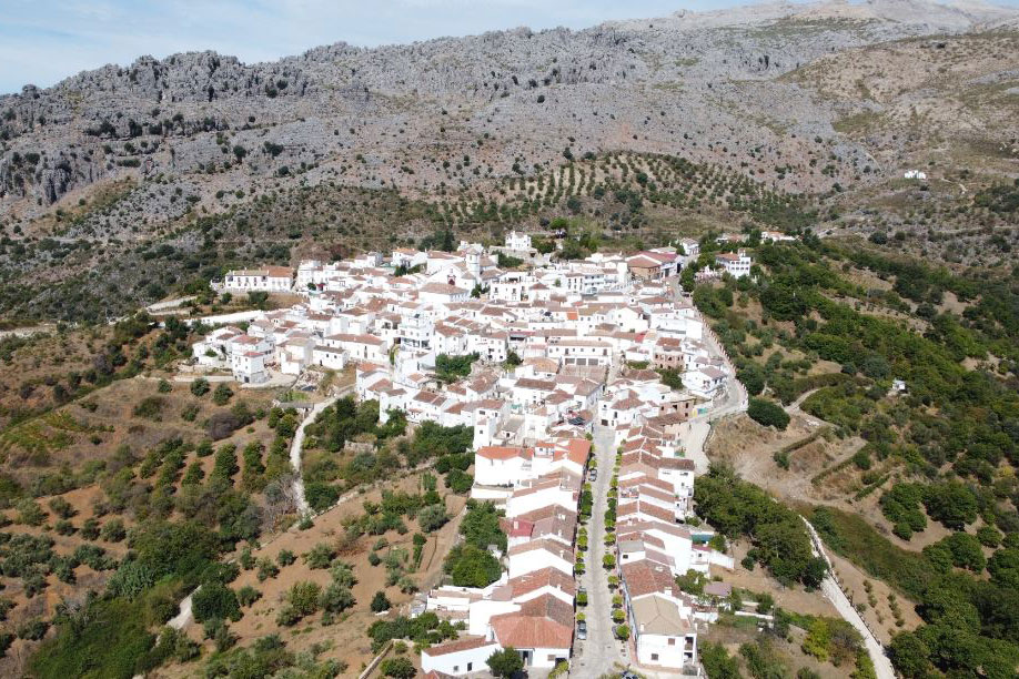 Cartajima finaliza su 2º programa de capacitación ‘Preparadas’