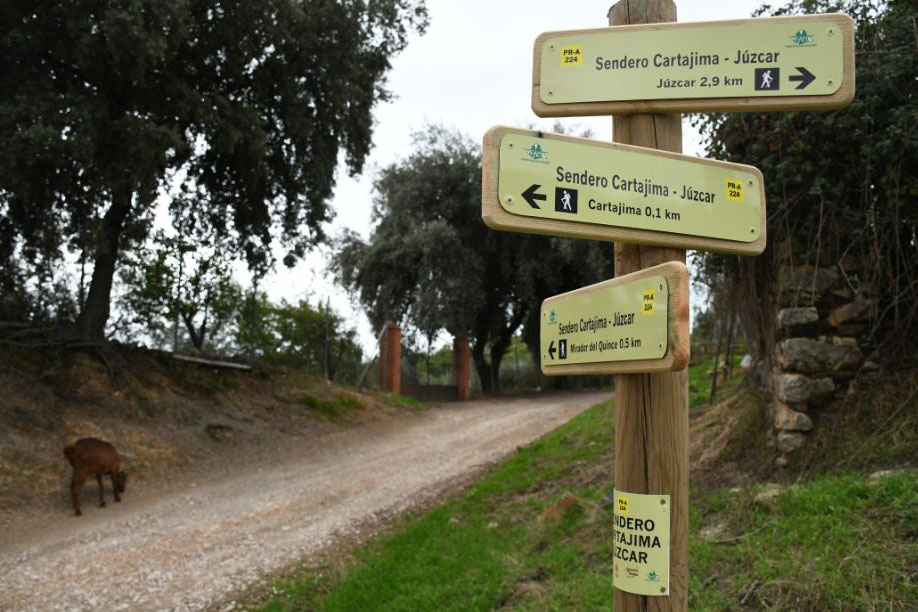 Cartajima planifica la ampliación y mejora de su red de senderos