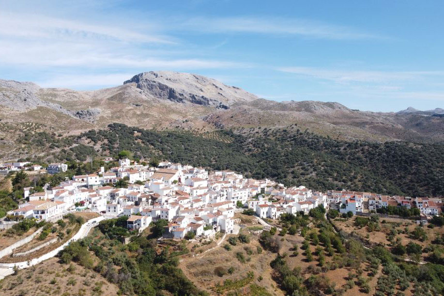 Cartajima proyecta crear nuevas zonas verdes en el municipio