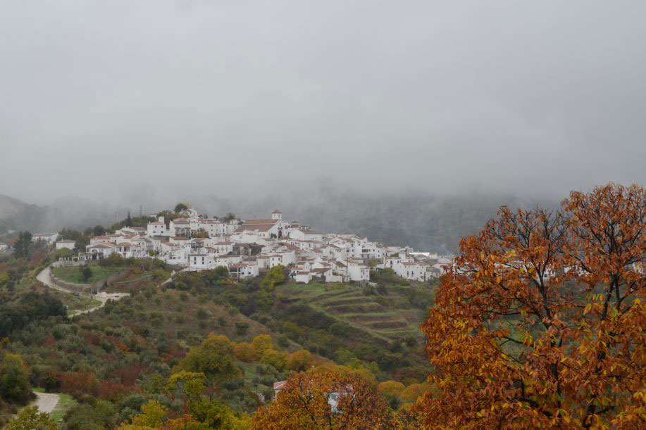 La precipitación media desciende un 30% en Cartajima en la última década