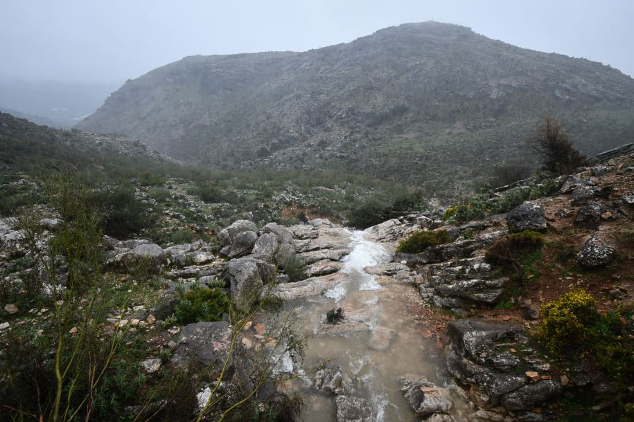 La precipitación media desciende un 30% en Cartajima en la última década