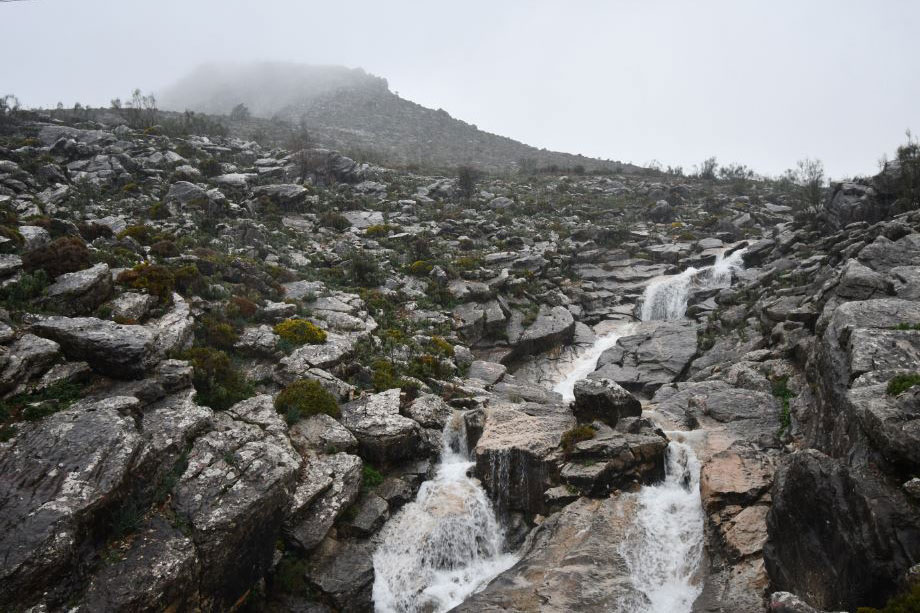 La precipitación media desciende un 30% en Cartajima en la última década
