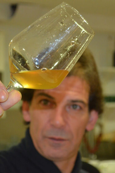 Fiesta del Mosto