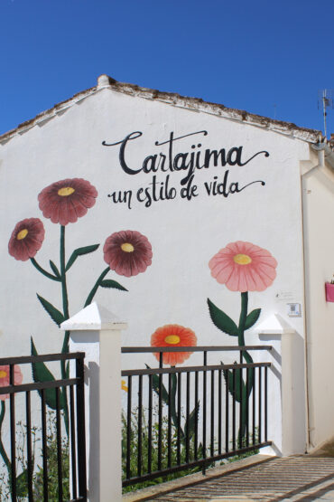Mural de flores