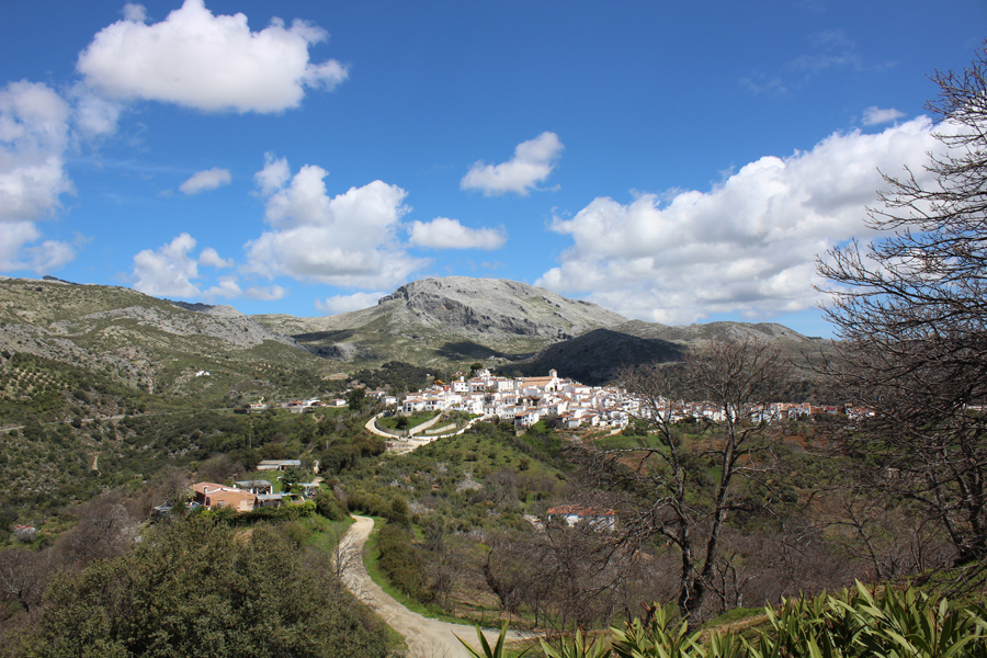 Vista panorámica de Cartajima