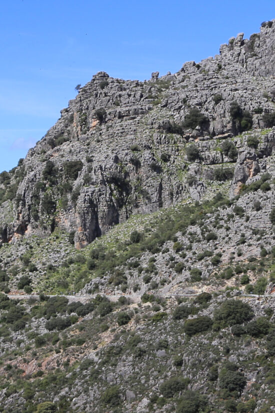 Panorámica del monte