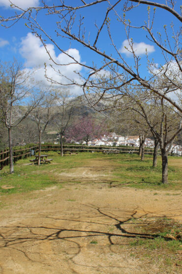 Mirador El Quince