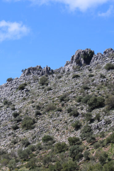 Panorámica del monte