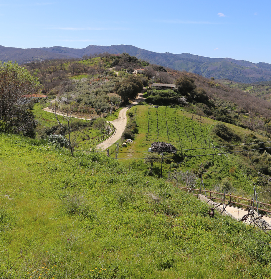 Paisaje del entorno