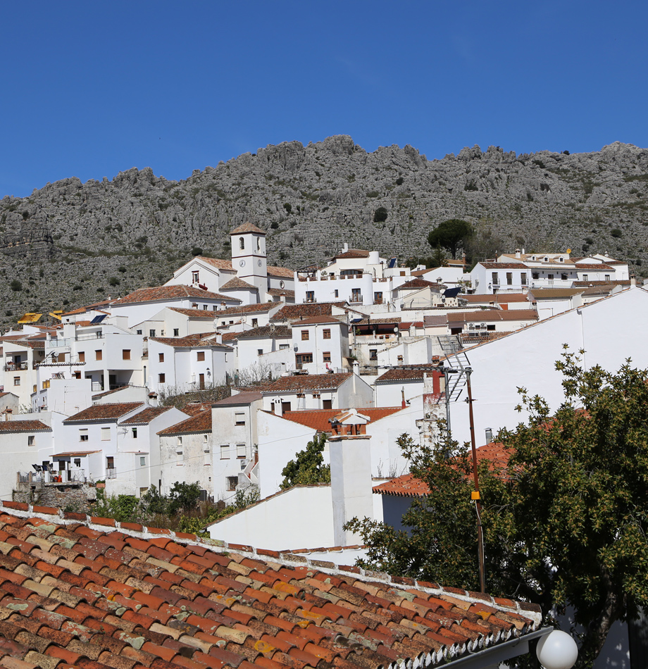 Vista panorámica de Cartajima