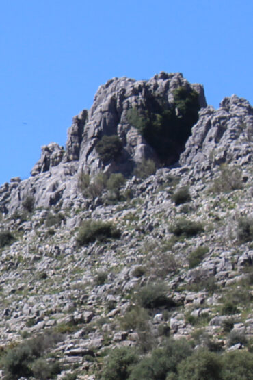Panorámica del monte