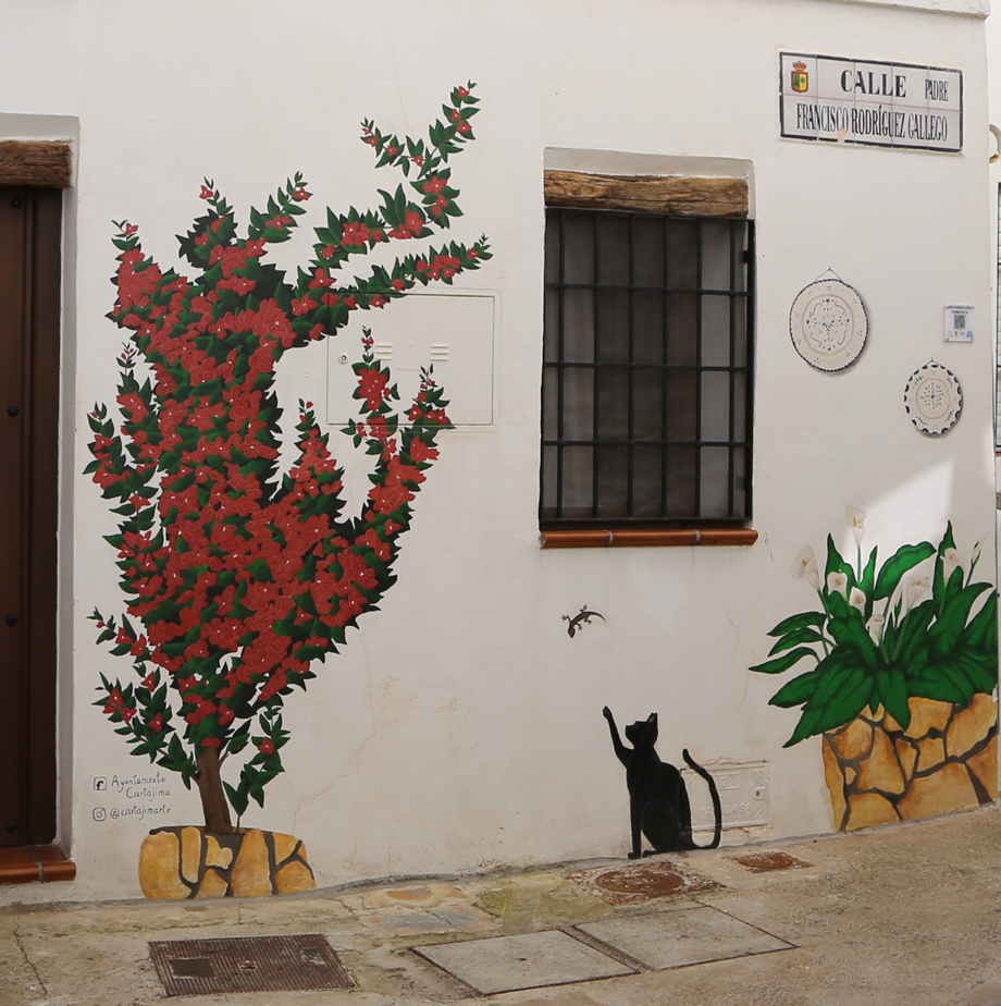 Mural Buganvilla