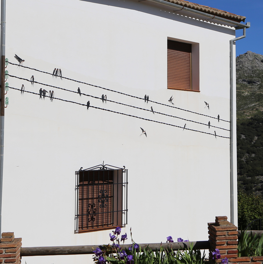 Mural Golondrinas