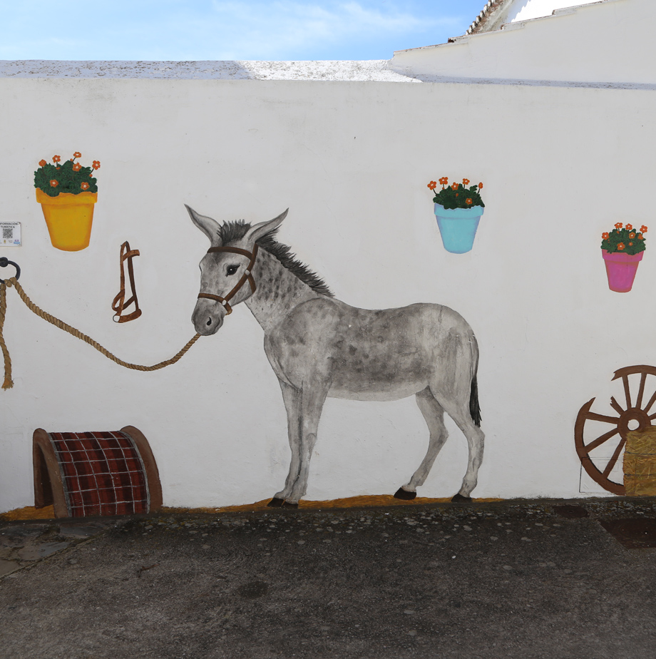 Mural Burro
