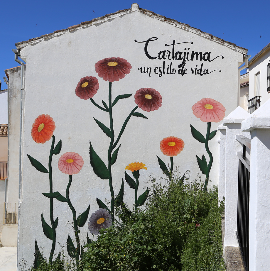 Mural Margaritas