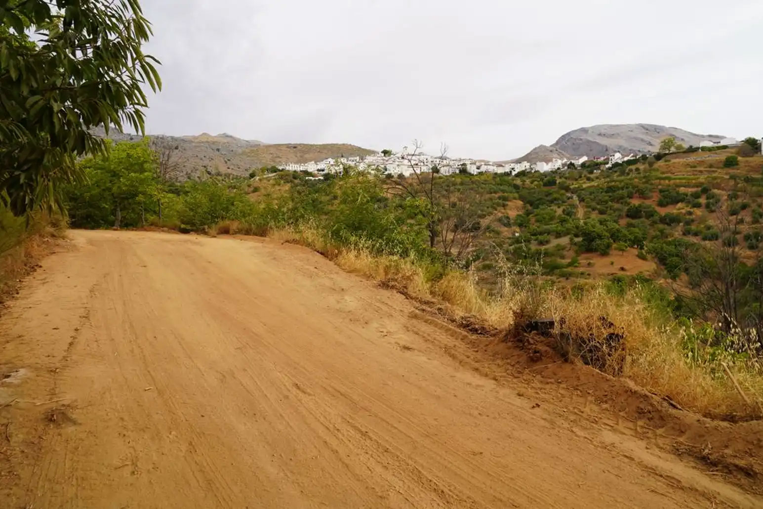 Cartajima realiza mejoras en el camino de Igualeja