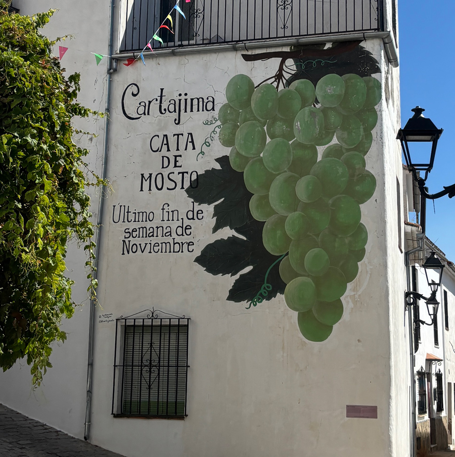 Mural Cata de Mosto