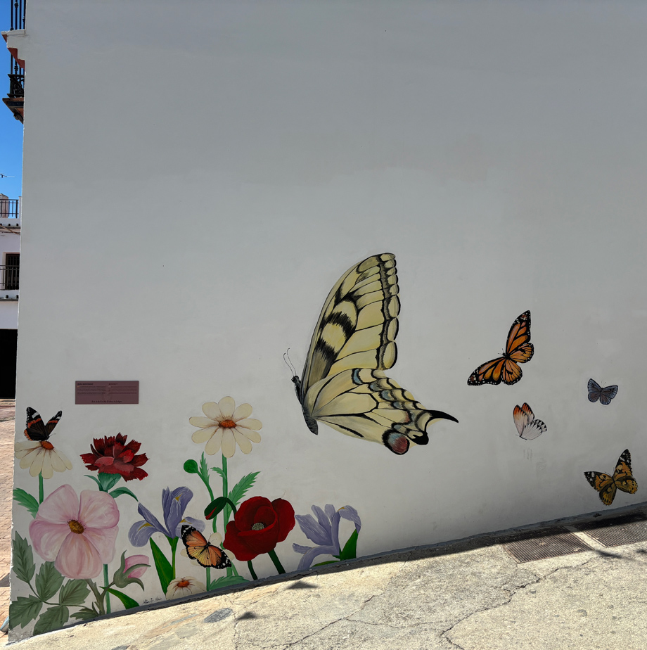 Mural Biodiversidad