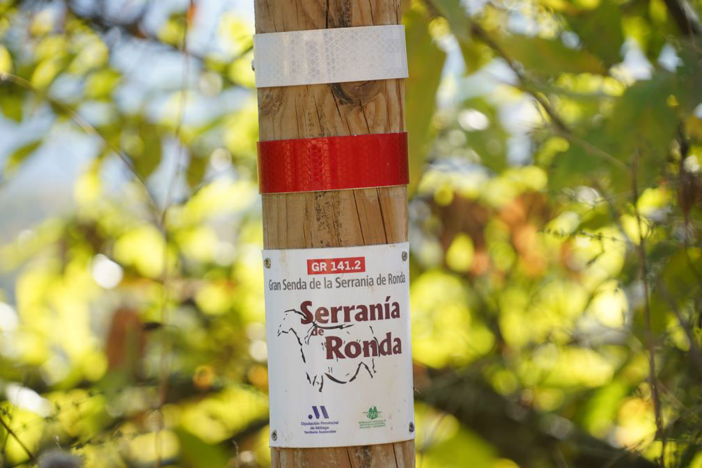 Los senderos de Cartajima que se adentran en el Bosque de Cobre