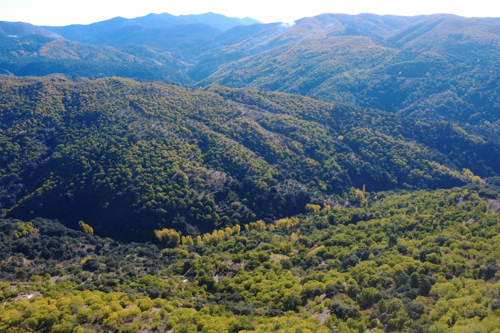 Los senderos de Cartajima que se adentran en el Bosque de Cobre