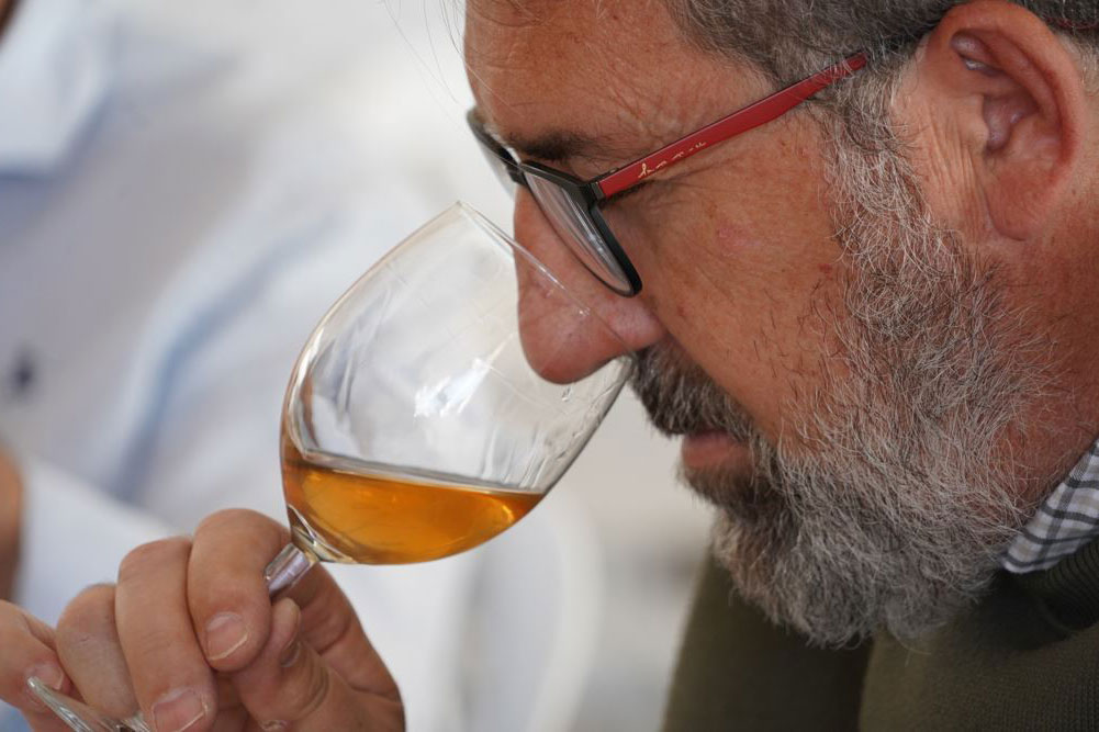 Cartajima vivirá su xix cata de mosto el sábado 29 de noviembre