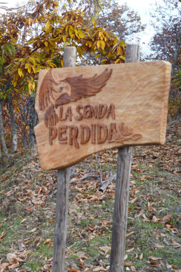 Cartel inicio Senda Perdida