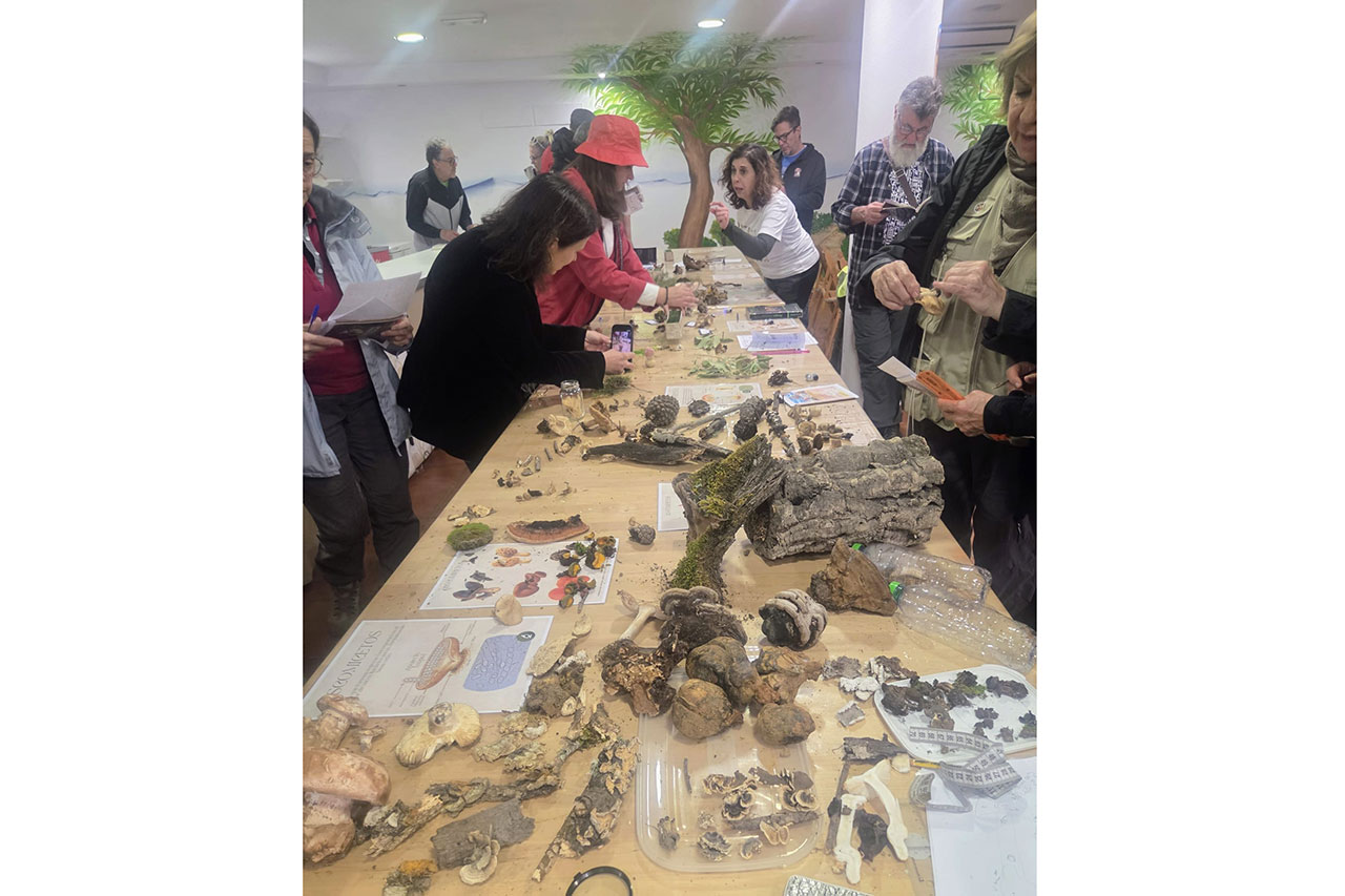 Cartajima acogió las VI Jornadas Micológicas de Primavera