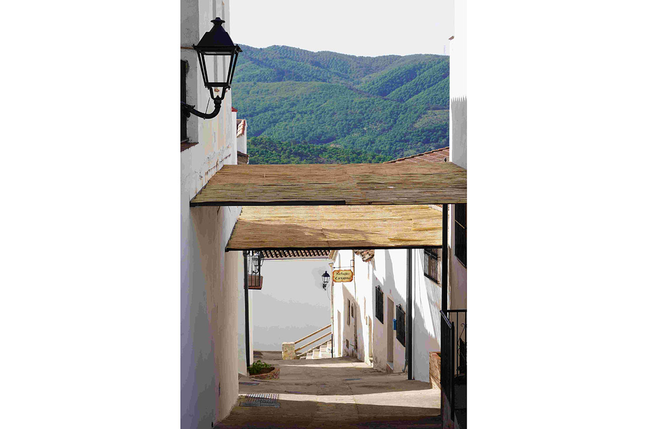 Cartajima, pionera en la creación de infraestructura verde