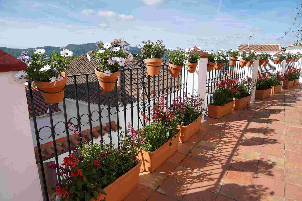 Cartajima, pionera en la creación de infraestructura verde