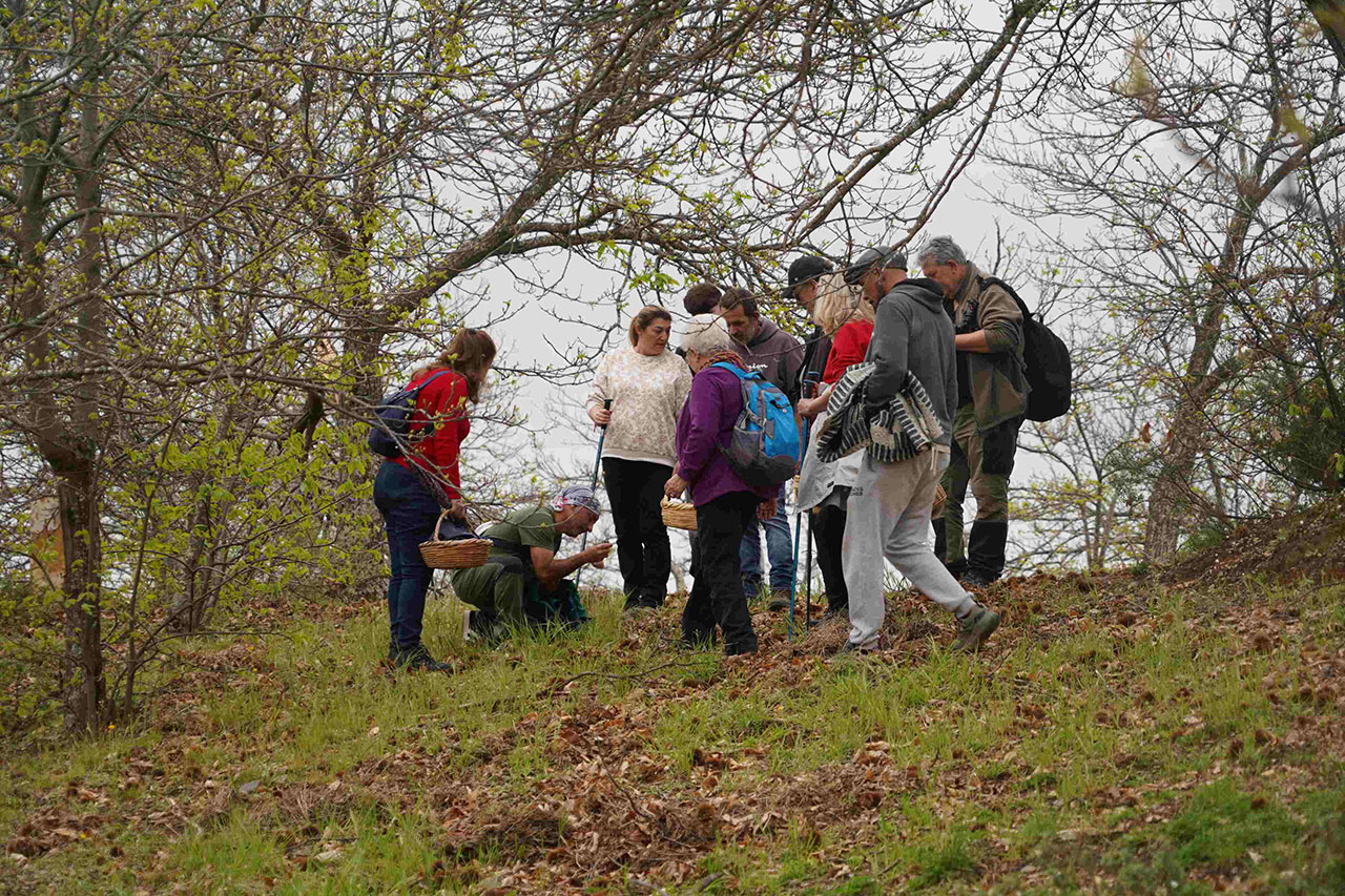 Cartajima acogió las VI Jornadas Micológicas de Primavera
